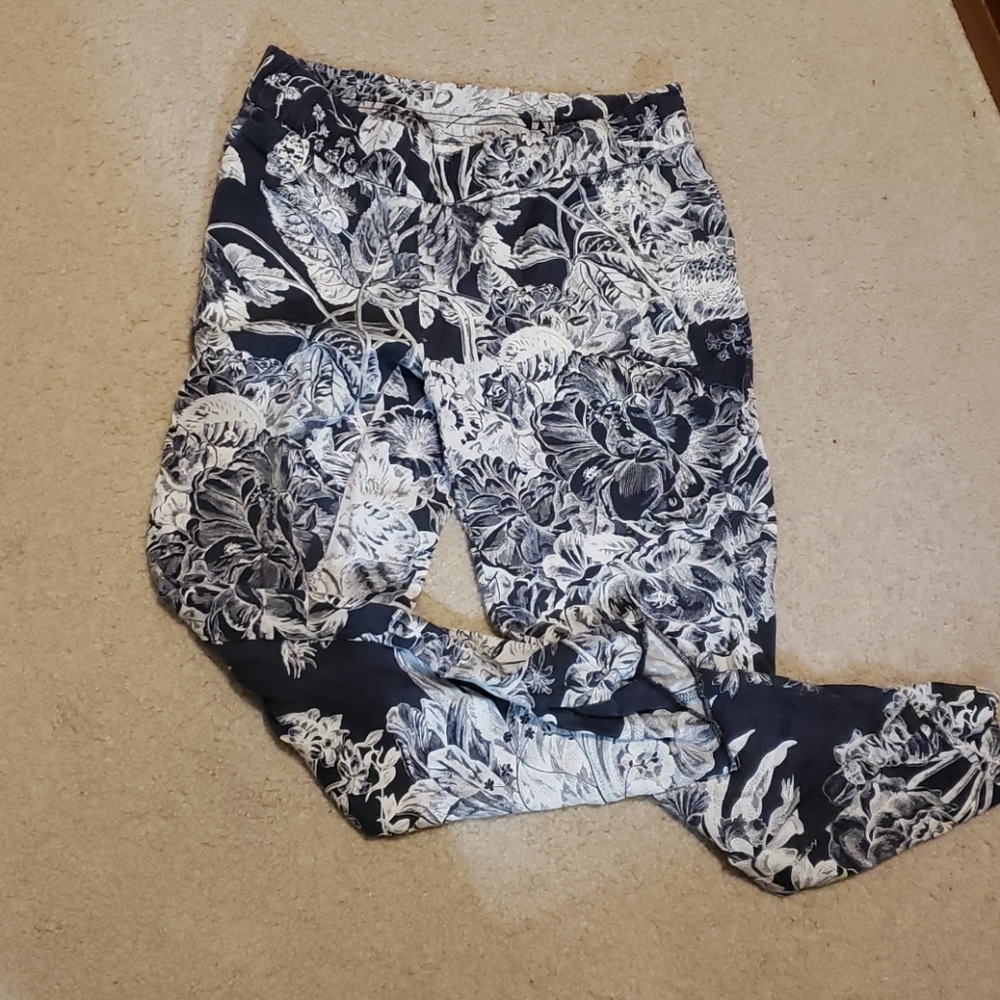 Loft Pants Petite XXSP